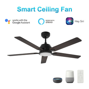 Carro - VS525J-L12-B5-1 - 52"Smart Ceiling Fan - Espear - Black