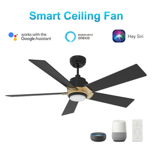 Carro - VS525J1-L11-B2-1G - 52"Smart Ceiling Fan - Ascender - Black