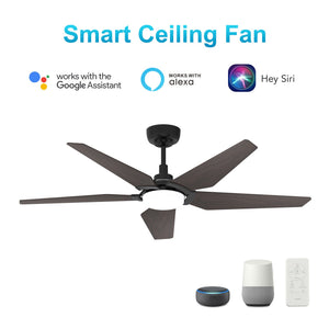 Carro - VS525B-L22-B5-1 - 52"Smart Ceiling Fan - Woodrow - Black