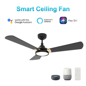 Carro - VS563B3-L22-B2-1G - 56"Smart Ceiling Fan - Brisa - Black