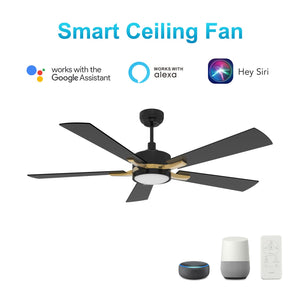 Carro - VS525E-L12-B2-1G - 52"Smart Ceiling Fan - Appleton - Black