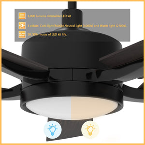 Carro - VS525E-L12-BF-1 - 52"Smart Ceiling Fan - Appleton - Black