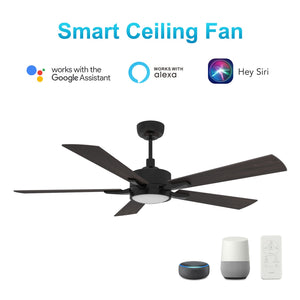 Carro - VS525E-L12-BF-1 - 52"Smart Ceiling Fan - Appleton - Black