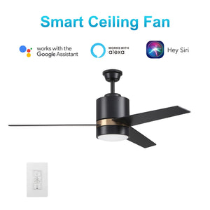 Carro - VWGS-523A-L11-B2-1G - 52"Smart Ceiling Fan - Raiden - Black