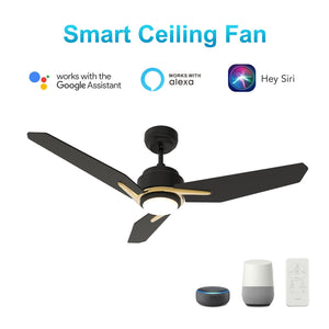 Carro - VS523J3-L11-B2-1G - 52"Smart Ceiling Fan - Tracer - Black