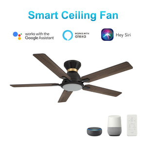 Carro - VS525J-L12-BG-1-FMA - 52"Smart Ceiling Fan - Espear - Black