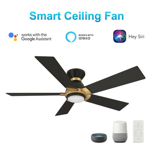 Carro - VS525J1-L11-B2-1G-FM - 52"Smart Ceiling Fan - Ascender - Black