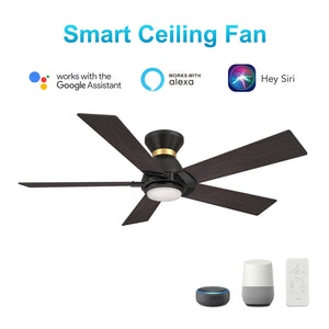 Carro - VS525J1-L11-BG-1-FMA - 52"Smart Ceiling Fan - Ascender - Black