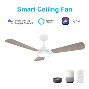 Carro - VS523B3-L22-W6-1 - 52"Smart Ceiling Fan - Brisa - White