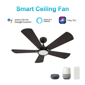 Carro - VS525B3-L22-B5-1 - 52"Smart Ceiling Fan - Winston - Black