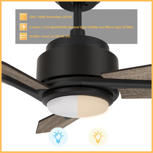 Carro - VS523J3-L11-BS-1 - 52"Smart Ceiling Fan - Tracer - Black