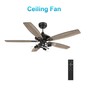 Carro - VC525D1-L72-BG-1 - 52"Ceiling Fan - Karson - Black