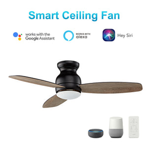 Carro - VS603Q-L12-BG-1 - 60"Smart Ceiling Fan - Trento - Black