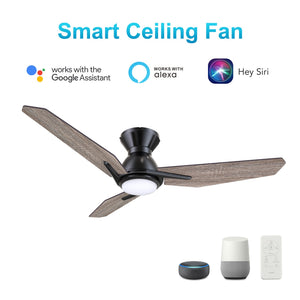 Carro - VS443J3-L11-BS-1-FM - 44"Smart Ceiling Fan - Calen - Black