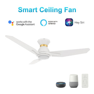 Carro - VS443J3-L11-W1-1-FMA - 44"Smart Ceiling Fan - Calen - White