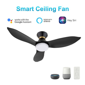 Carro - VS453V-L12-B2-1-FM - 45"Smart Ceiling Fan - Ryatt - Black