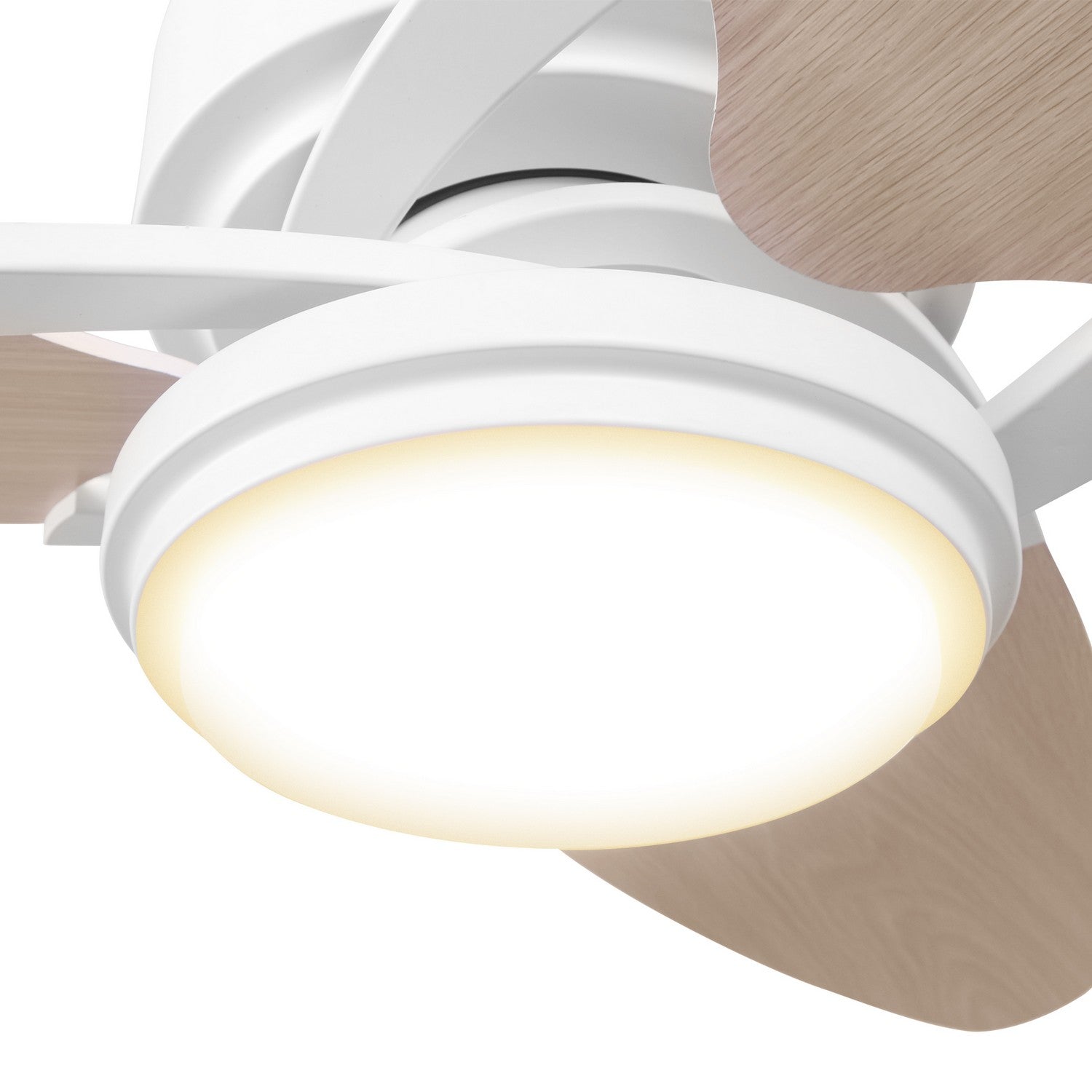 Carro - DC523B-L12-WT-1 - 52"Ceiling Fan - Maddox - White