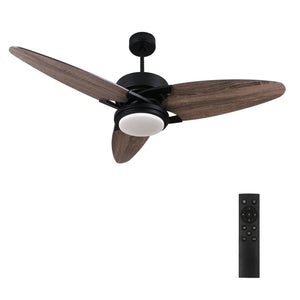 Carro - DC523B-L12-BS-1 - 52"Ceiling Fan - Maddox - Black