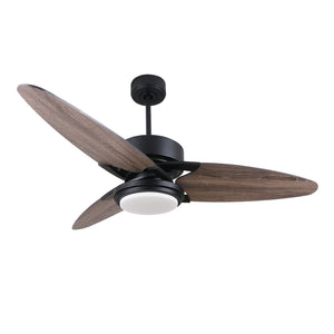 Carro - DC523B-L12-BS-1 - 52"Ceiling Fan - Maddox - Black