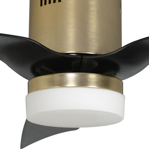 Carro - VS483P-L12-G2-1-FM - 48"Smart Ceiling Fan - Spezia - Gold