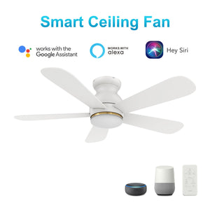 Carro - VS485Q-L12-W1-1-FM - 48"Smart Ceiling Fan - Dubois - White