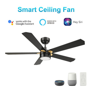 Carro - VS525E2-L11-B2-1G - 52"Smart Ceiling Fan - Tarrasa - Black