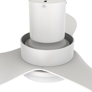 Carro - VS363V2-L12-W1-1-FM - 36"Smart Ceiling Fan - Ryna - White