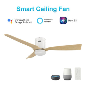 Carro - VS523P-L22-WQ-1-FM - 52"Smart Ceiling Fan - Spezia - White