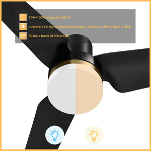 Carro - VS523N-L12-B2-1-FM - 52"Smart Ceiling Fan - Boise - Black