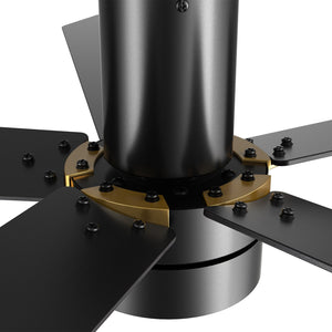 Carro - VS525E2-L11-B2-1G-FM - 52"Smart Ceiling Fan - Tampa - Black