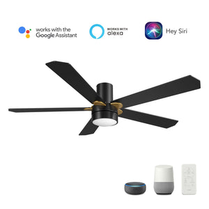 Carro - VS525E2-L11-B2-1G-FM - 52"Smart Ceiling Fan - Tampa - Black