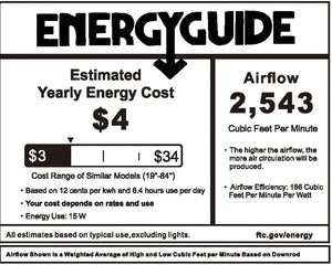 Carro - YDC453V2-L12-W1-1-FM - 45" Ceiling Fan - Bude - White