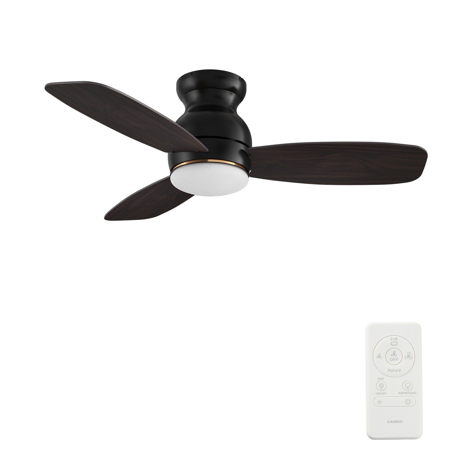 Carro - YDC443Q-L12-BG-1-FM - 44" Ceiling Fan - Honiton - Black