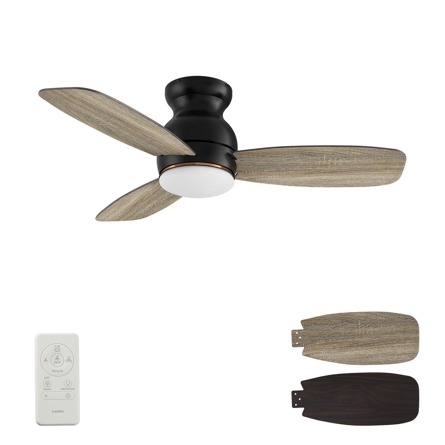 Carro - YDC443Q-L12-BG-1-FM - 44" Ceiling Fan - Honiton - Black