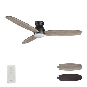 Carro - YDC603Q-L12-BG-1-FM - 60" Ceiling Fan - Honiton - Black