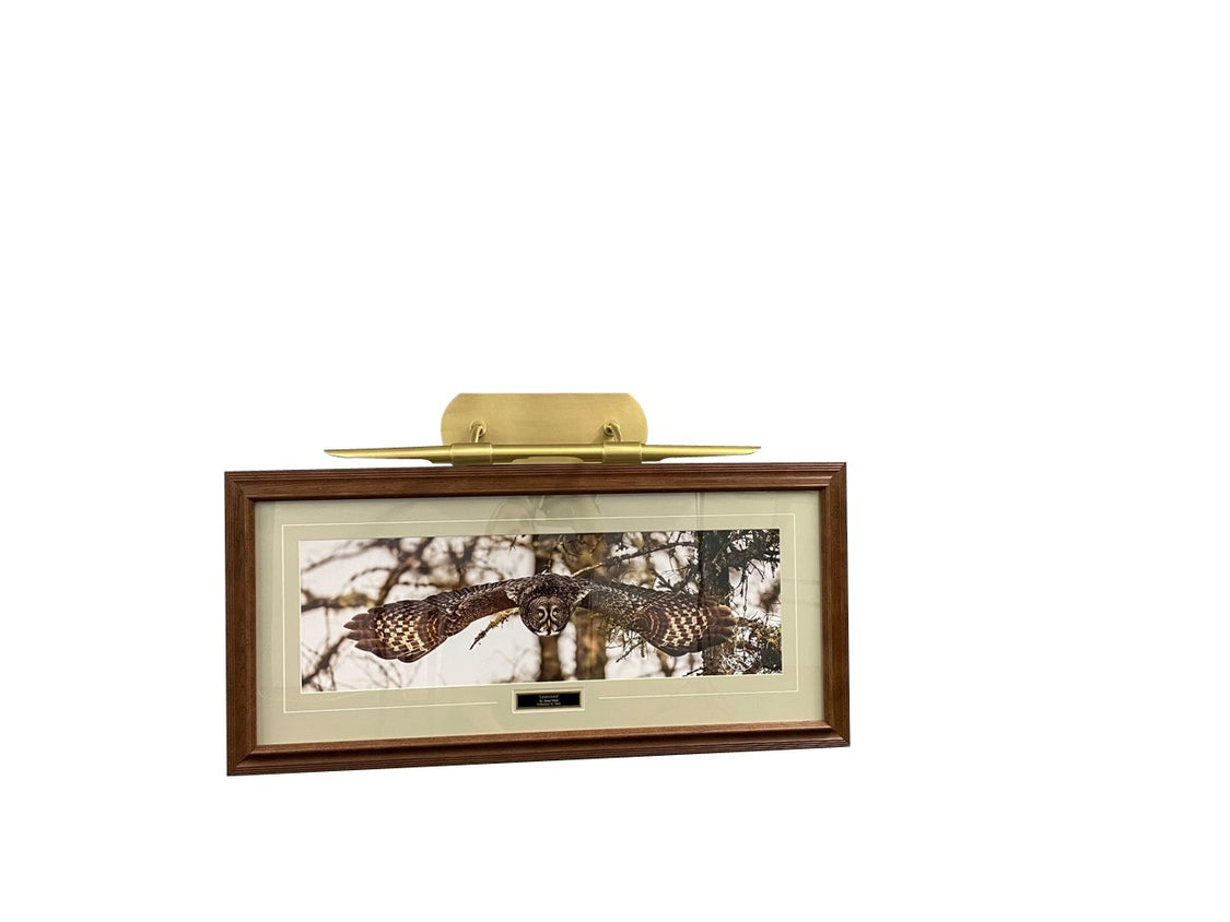 House of Troy - DHALED24-NTB - LED Picture Light - Harper - Natural Brass