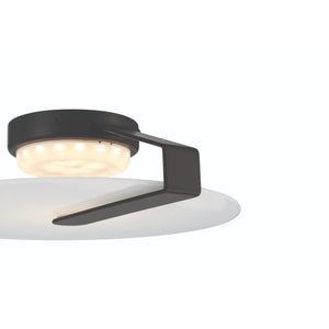 Eurofase - 46843-012 - NUVOLA-FM-12IN-BK - NUVOLA - Black