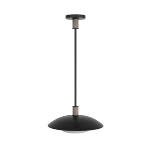 Arteriors - DSI03 - One Light Pendant - Tobias - Blackened Iron