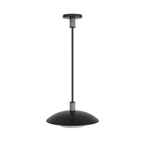 Arteriors - DSI03 - One Light Pendant - Tobias - Blackened Iron