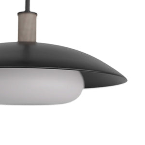 Arteriors - DSI03 - One Light Pendant - Tobias - Blackened Iron