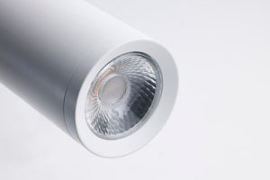Nuvo Lighting - 62-817 - LED Pendant - Century - Matte White