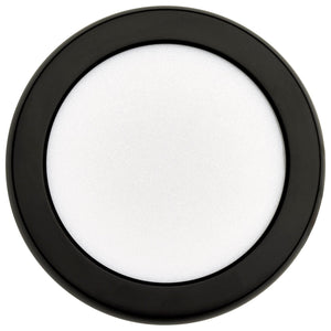 Nuvo Lighting - 62-1901 - LED Flush Mount - Black