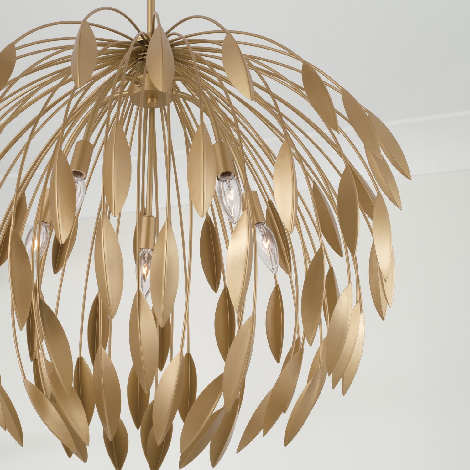 Capital Lighting - 351851GF - Five Light Pendant - Margeaux - Buffed Gold
