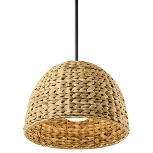 Kichler - 44399BK - One Light Mini Pendant - Raffiana - Black