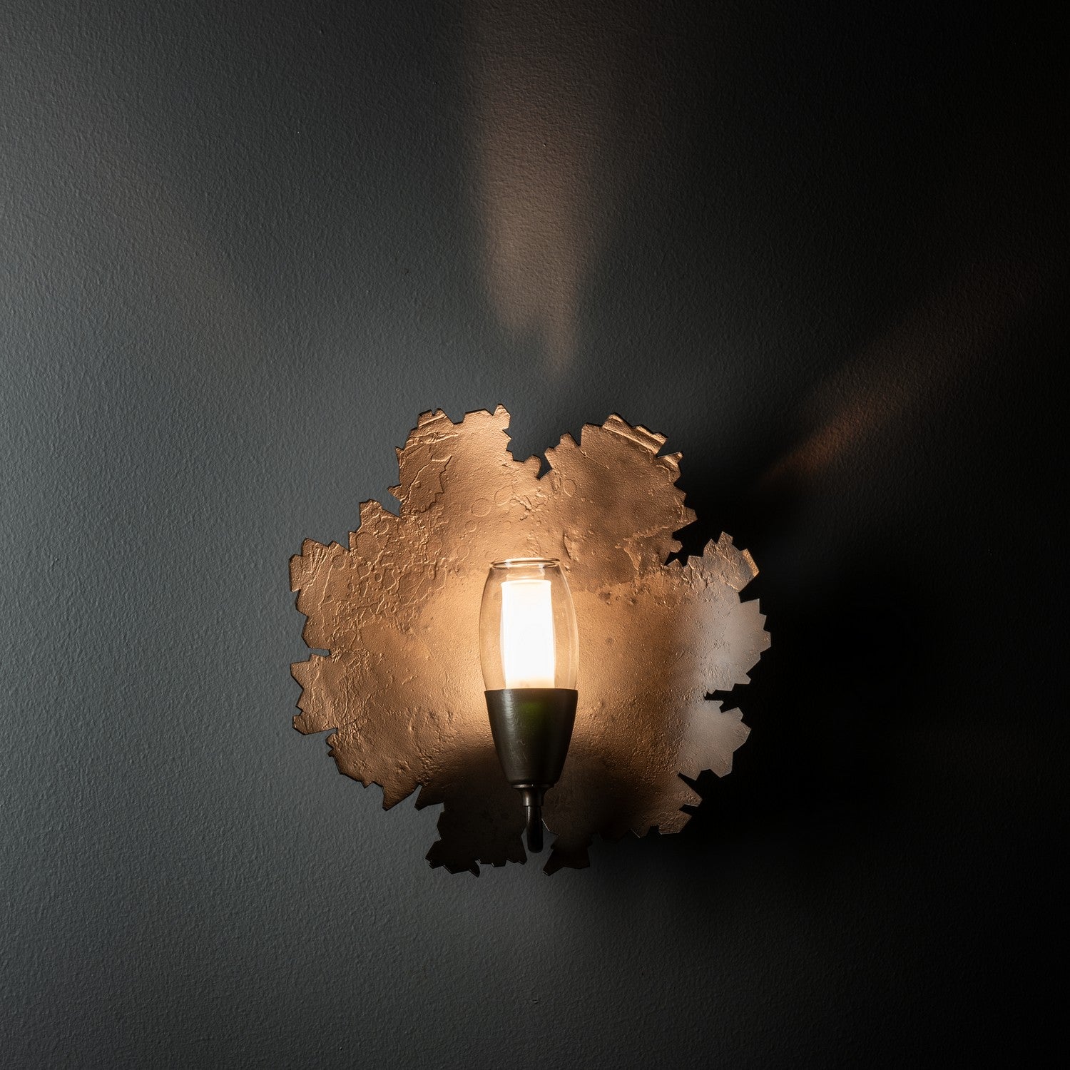 Hubbardton Forge - 201061-SKT-07-YE0352 - LED Wall Sconce - Pangea - Dark Smoke