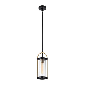 Artcraft - AC11511BB - One Light Pendant - Bonita - Black and Brushed Brass