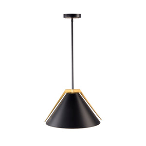 Artcraft - AC11910BK - One Light Pendant - Baltic - Black and Brushed Brass