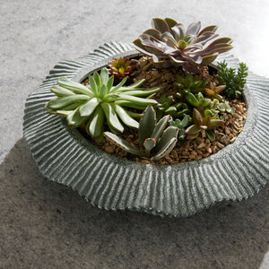 Arteriors - ATC08 - Planter - Escada - Platinum Crackle/Clear