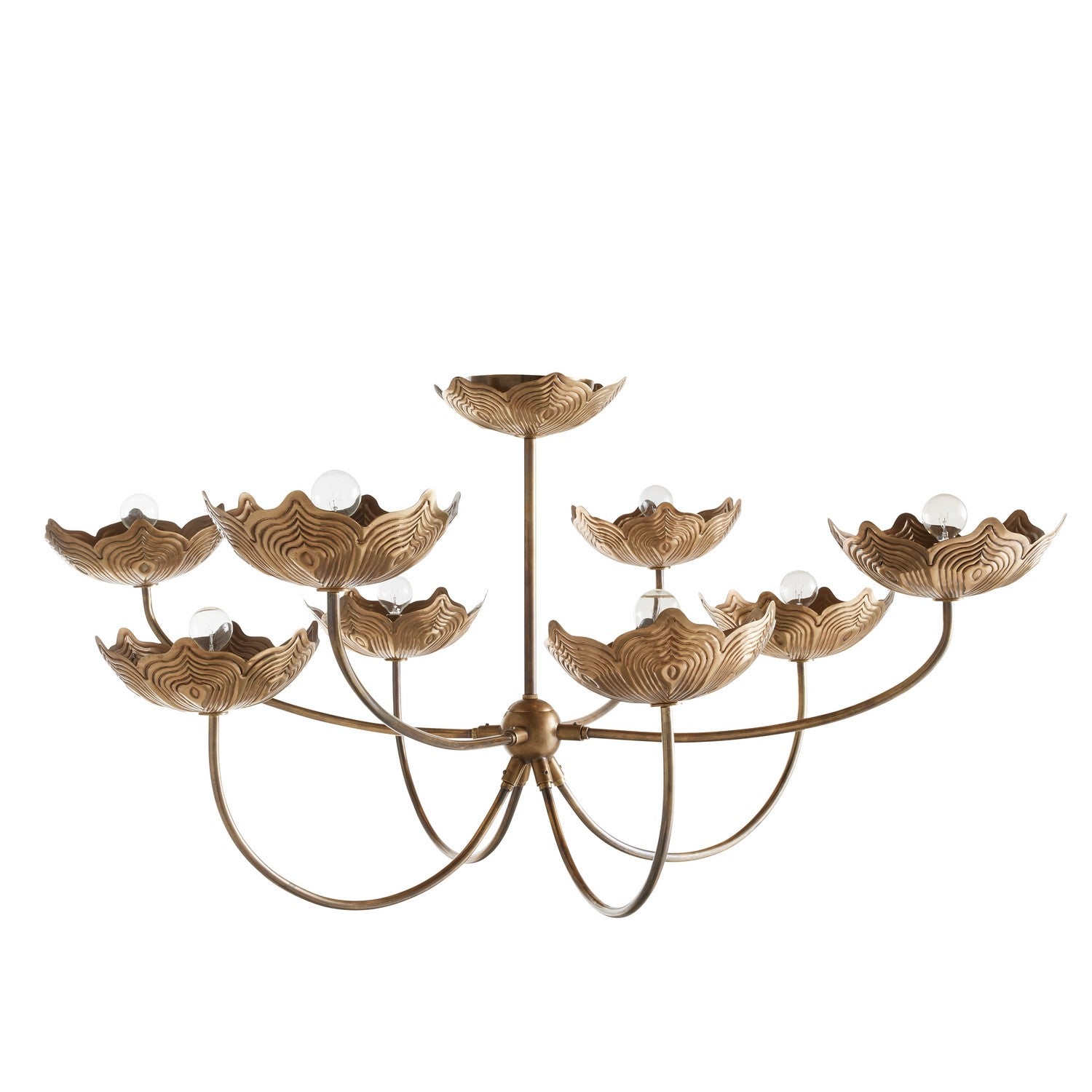 Arteriors - DLI06 - Eight Light Chandelier - Encinitas - Antique Brass/Antique Brass