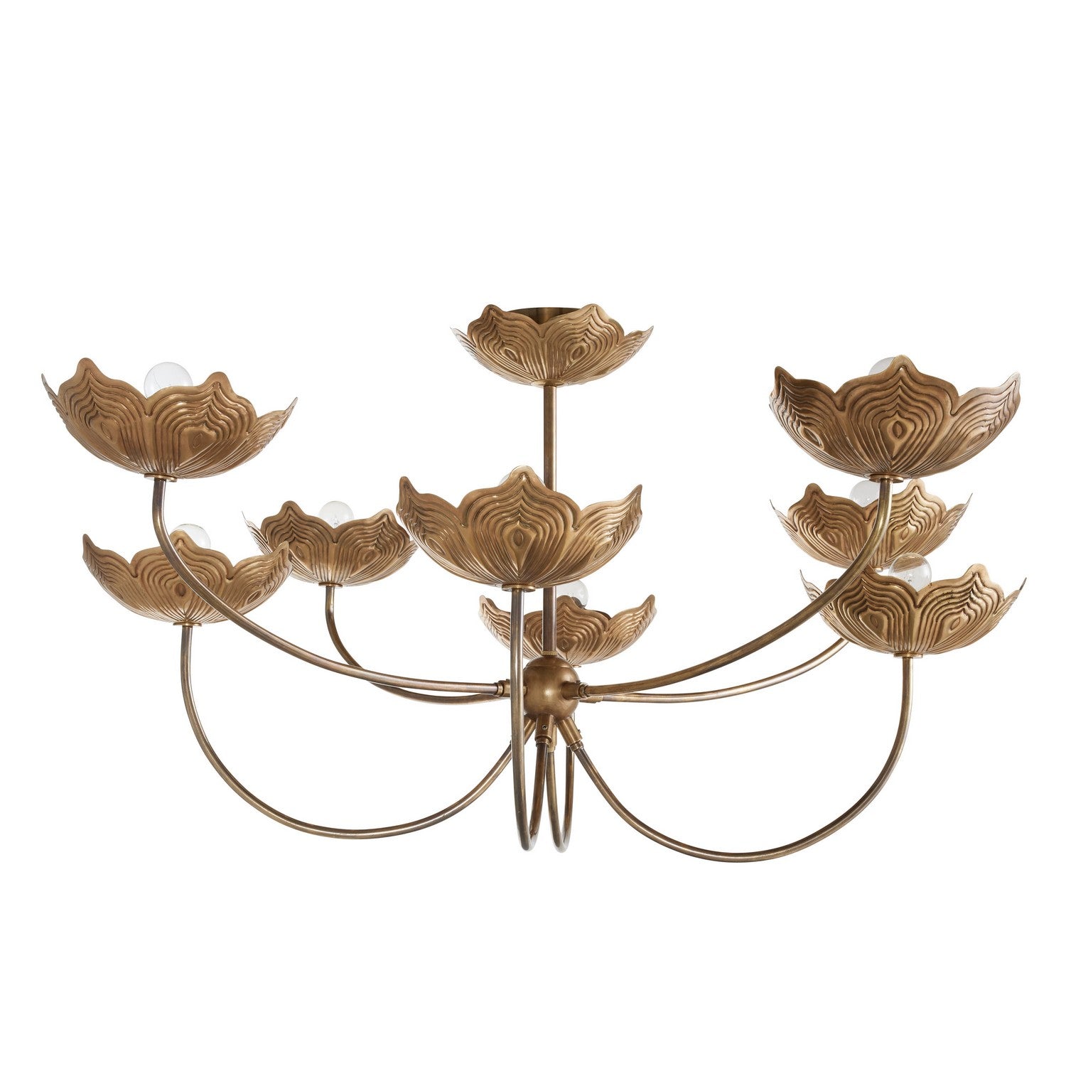 Arteriors - DLI06 - Eight Light Chandelier - Encinitas - Antique Brass/Antique Brass